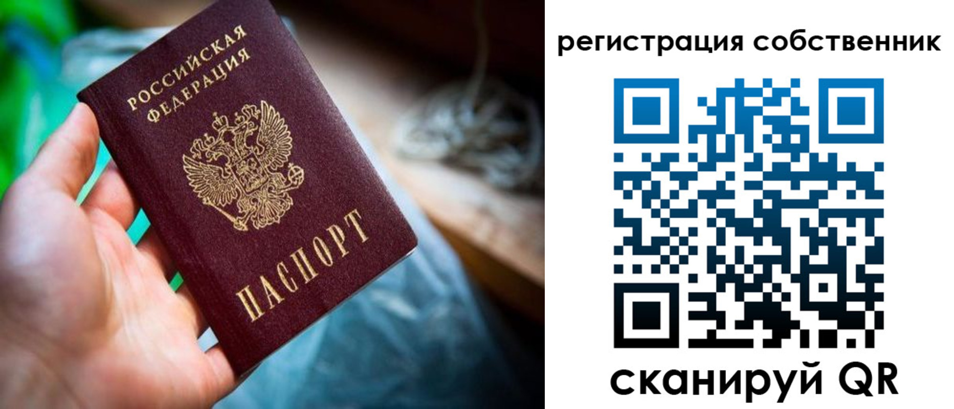 прописка гарантия в Вихоревке